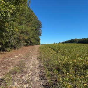 Photo #26 of Off of Blank Lane, Emporia, VA 107.0 acres