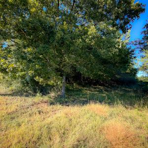 Photo #27 of Off of Blank Lane, Emporia, VA 107.0 acres