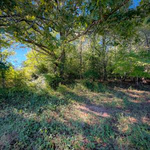 Photo #28 of Off of Blank Lane, Emporia, VA 107.0 acres