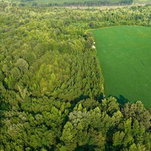 Photo #3 of Off of Blank Lane, Emporia, VA 107.0 acres