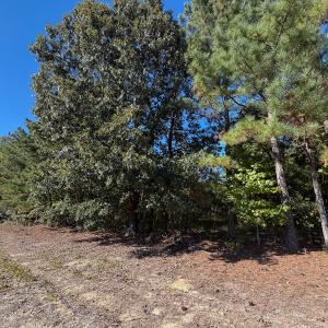 Photo #31 of Off of Blank Lane, Emporia, VA 107.0 acres