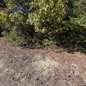 Photo #32 of Off of Blank Lane, Emporia, VA 107.0 acres