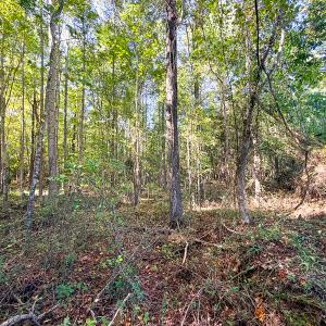 Photo #33 of Off of Blank Lane, Emporia, VA 107.0 acres
