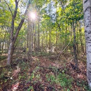 Photo #34 of Off of Blank Lane, Emporia, VA 107.0 acres