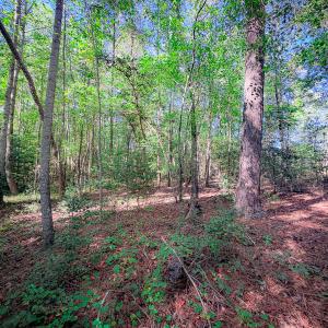 Photo #35 of Off of Blank Lane, Emporia, VA 107.0 acres