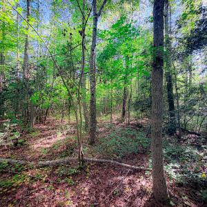 Photo #36 of Off of Blank Lane, Emporia, VA 107.0 acres