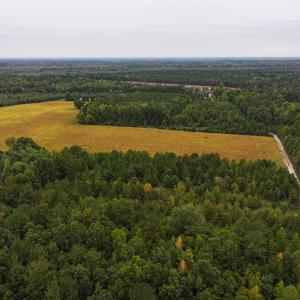 Photo #38 of Off of Blank Lane, Emporia, VA 107.0 acres