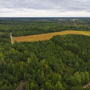 Photo #39 of Off of Blank Lane, Emporia, VA 107.0 acres