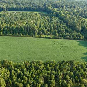 Photo #4 of Off of Blank Lane, Emporia, VA 107.0 acres