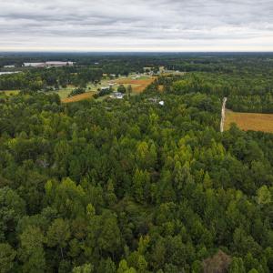 Photo #40 of Off of Blank Lane, Emporia, VA 107.0 acres