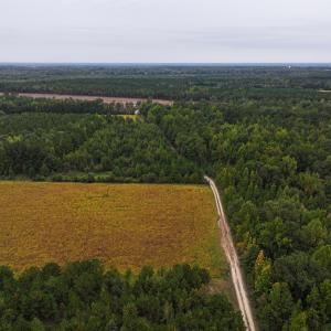 Photo #9 of Off of Blank Lane, Emporia, VA 107.0 acres