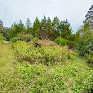 Photo #12 of Off of St. Martin Road, Oakboro, NC 82.0 acres