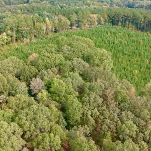 Photo #14 of Off of St. Martin Road, Oakboro, NC 82.0 acres