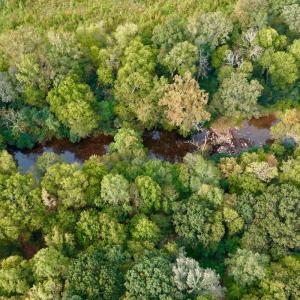 Photo #16 of Off of St. Martin Road, Oakboro, NC 82.0 acres