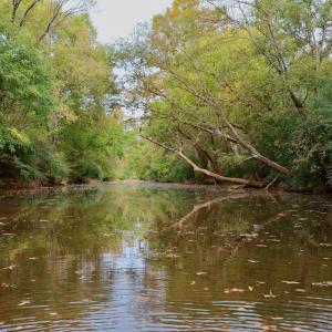 Photo #17 of Off of St. Martin Road, Oakboro, NC 82.0 acres
