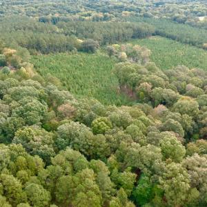 Photo #19 of Off of St. Martin Road, Oakboro, NC 82.0 acres