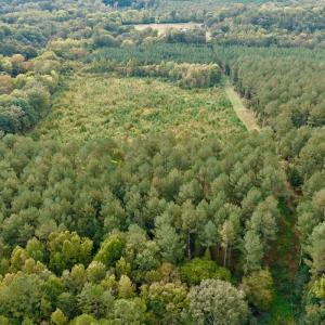 Photo #3 of Off of St. Martin Road, Oakboro, NC 82.0 acres