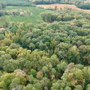 Photo #4 of Off of St. Martin Road, Oakboro, NC 82.0 acres