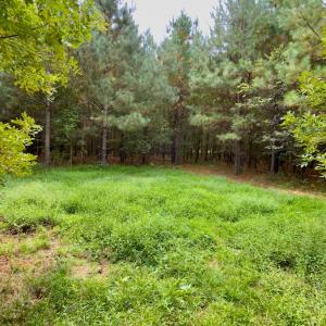 Photo #5 of Off of St. Martin Road, Oakboro, NC 82.0 acres