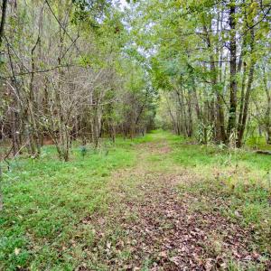 Photo #6 of Off of St. Martin Road, Oakboro, NC 82.0 acres