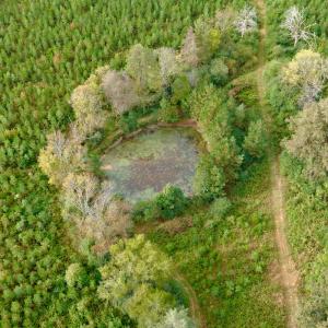 Photo #9 of Off of St. Martin Road, Oakboro, NC 82.0 acres