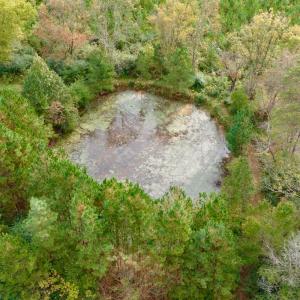 Photo #22 of Off of St. Martin Road, Oakboro, NC 82.0 acres