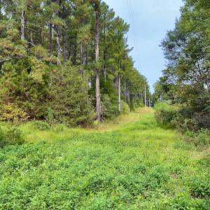 Photo #23 of Off of St. Martin Road, Oakboro, NC 82.0 acres