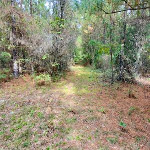 Photo #24 of Off of St. Martin Road, Oakboro, NC 82.0 acres