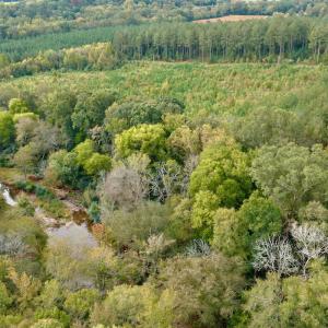 Photo #26 of Off of St. Martin Road, Oakboro, NC 82.0 acres