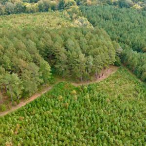 Photo #30 of Off of St. Martin Road, Oakboro, NC 82.0 acres