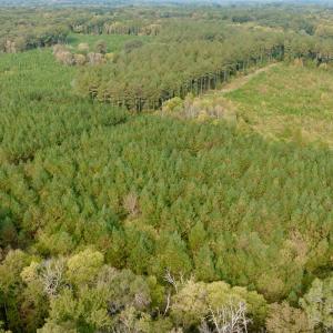 Photo #31 of Off of St. Martin Road, Oakboro, NC 82.0 acres