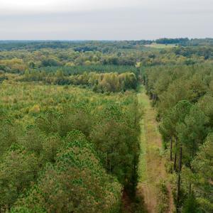 Photo #32 of Off of St. Martin Road, Oakboro, NC 82.0 acres
