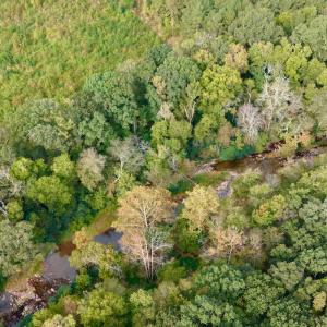 Photo #34 of Off of St. Martin Road, Oakboro, NC 82.0 acres