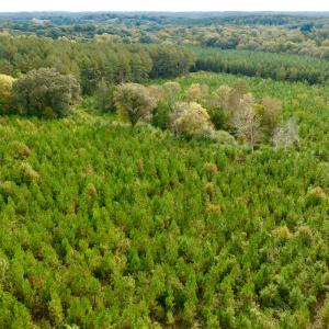 Photo #37 of Off of St. Martin Road, Oakboro, NC 82.0 acres