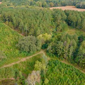 Photo #38 of Off of St. Martin Road, Oakboro, NC 82.0 acres