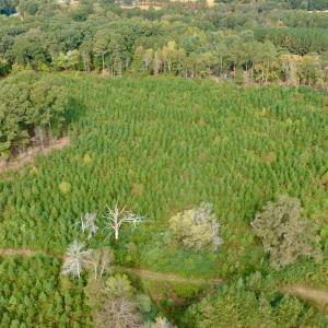 Photo #39 of Off of St. Martin Road, Oakboro, NC 82.0 acres