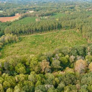 Photo #42 of Off of St. Martin Road, Oakboro, NC 82.0 acres