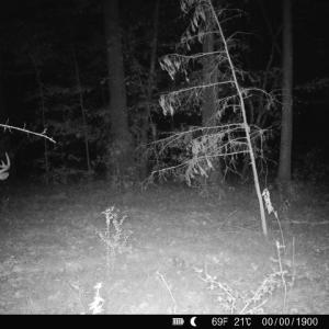 Photo #44 of Off of St. Martin Road, Oakboro, NC 82.0 acres