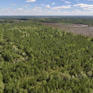Photo #10 of Off Highway 258 South, & Lightwood Knot Road, Deep Run, NC 47.6 acres