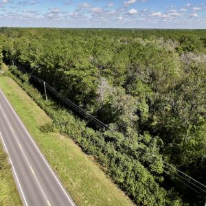 Photo #19 of Off Highway 258 South, & Lightwood Knot Road, Deep Run, NC 47.6 acres
