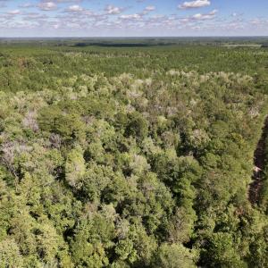 Photo #1 of Off Highway 258 South, & Lightwood Knot Road, Deep Run, NC 47.6 acres