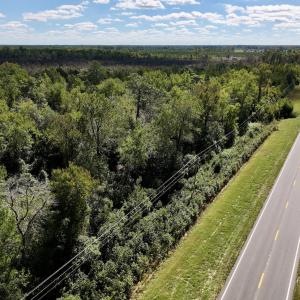 Photo #20 of Off Highway 258 South, & Lightwood Knot Road, Deep Run, NC 47.6 acres