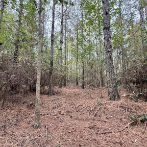 Photo #22 of Off Highway 258 South, & Lightwood Knot Road, Deep Run, NC 47.6 acres