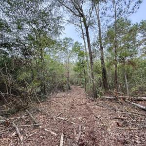 Photo #23 of Off Highway 258 South, & Lightwood Knot Road, Deep Run, NC 47.6 acres