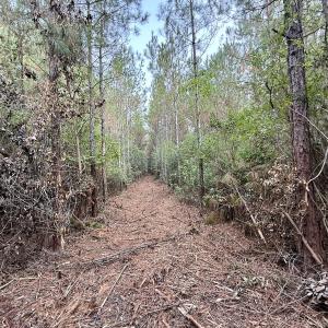 Photo #24 of Off Highway 258 South, & Lightwood Knot Road, Deep Run, NC 47.6 acres