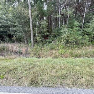 Photo #26 of Off Highway 258 South, & Lightwood Knot Road, Deep Run, NC 47.6 acres