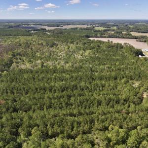 Photo #29 of Off Highway 258 South, & Lightwood Knot Road, Deep Run, NC 47.6 acres