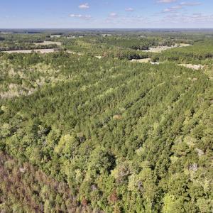 Photo #3 of Off Highway 258 South, & Lightwood Knot Road, Deep Run, NC 47.6 acres