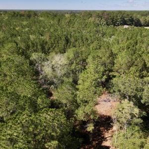 Photo #30 of Off Highway 258 South, & Lightwood Knot Road, Deep Run, NC 47.6 acres