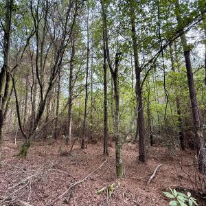 Photo #33 of Off Highway 258 South, & Lightwood Knot Road, Deep Run, NC 47.6 acres